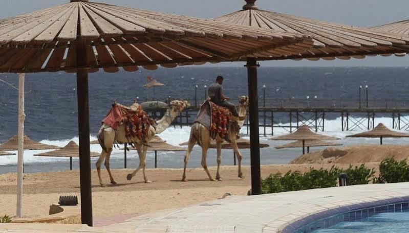 Life Resort Coral Hills El Qoseir Екстериор снимка